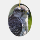 Search for beak christmas tree decorations Feathers