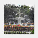 Search for savannah magnets Fountain