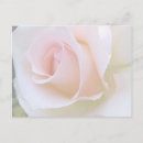 Search for valentines day photo postcards Pink