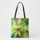 Search for weed bags Pot