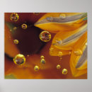 Search for reflective surface Close up