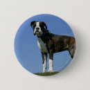 Search for brindle badges Canine photographer