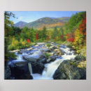 Search for adirondack posters Serene