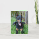 Search for doberman birthday cards Doberman pinscher puppy