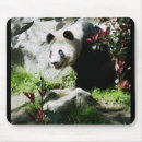 Search for panda mousepads Zoo