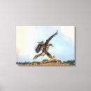 Search for bald eagles canvas prints Majestic