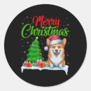 Search for funny corgi stickers Merry christmas