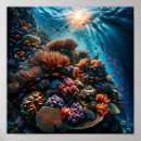 Search for coral reef posters Nautical