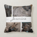 Search for pet photo cushions Modern