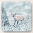 Search for fox coasters Winter