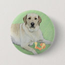 Search for labrador badges Retriever