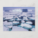 Search for antarctica postcards Scenic