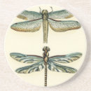 Search for dragonfly coasters Insects