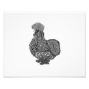 Search for silkies Chicken