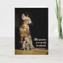 Search for bengal cat cards Cats