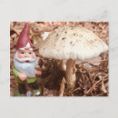Search for gnome postcards October