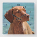 Search for vizsla art Portrait