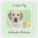 Search for white labrador puppy stickers Retriever