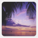 Search for negril stickers Palm tree