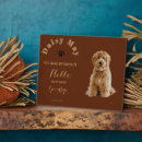 Search for tribute pet memorials Rainbow bridge