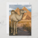 Search for camel desert invitations Cute