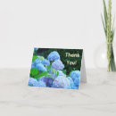 Search for hydrangea flowers cards Landscape