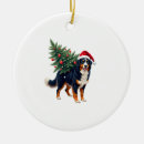 Search for bernese mountain dog christmas tree decorations Animal