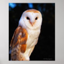 Search for selective focus posters White