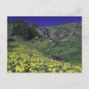 Search for small waterfall postcards Outdoor