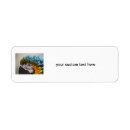 Search for pet bird return address labels Parrot