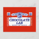 Search for chocolate lab postcards Canine