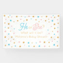 Search for gender reveal backdrops Stars