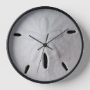 Search for sand dollar clocks Beach