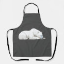Search for polar animals aprons Bear