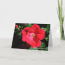 Search for just a note note cards Flower