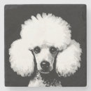Search for poodle coasters Cute