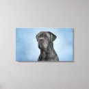 Search for cane corso art Dog