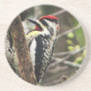 Search for belly barware Woodpecker