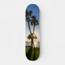 Search for palm skateboards Coastal