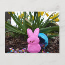 Search for missing you easter cards Cute