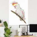 Search for parrot posters Watercolor