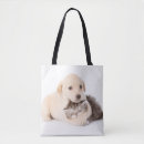 Search for dog sleeping bags Pet