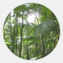 Search for tropical rainforest stickers Nature