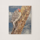 Search for audubon birds puzzles Wildlife