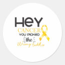 Search for lymphoma cancer ribbon stickers Leukaemia