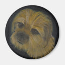 Search for border terriers magnets Puppy