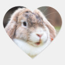 Search for lop rabbit stickers Easter
