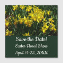 Search for yellow daffodil invitations Nature
