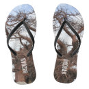 Search for baobabs Tree