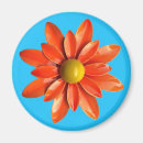 Search for hippies magnets 1960s